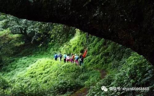 工业蒸汽钢制光排管散热器片