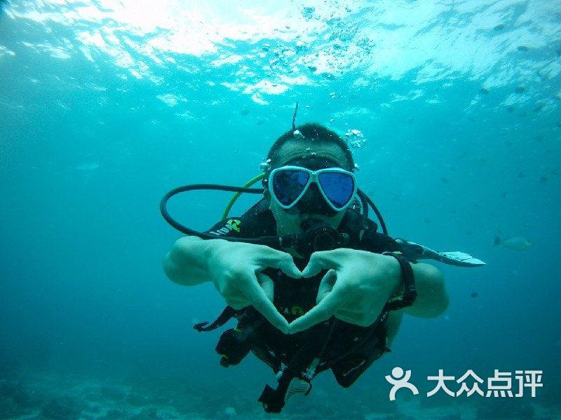 安徽一座不起眼的小镇，居民依靠小人参致富，如今已是全国重点镇
