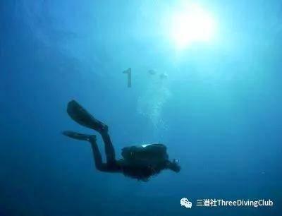 公主的夏季舞会