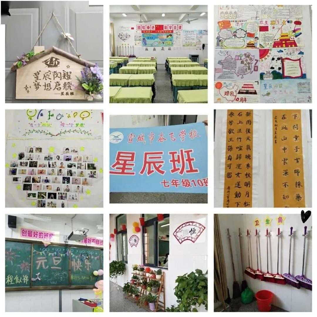 雨后盛放