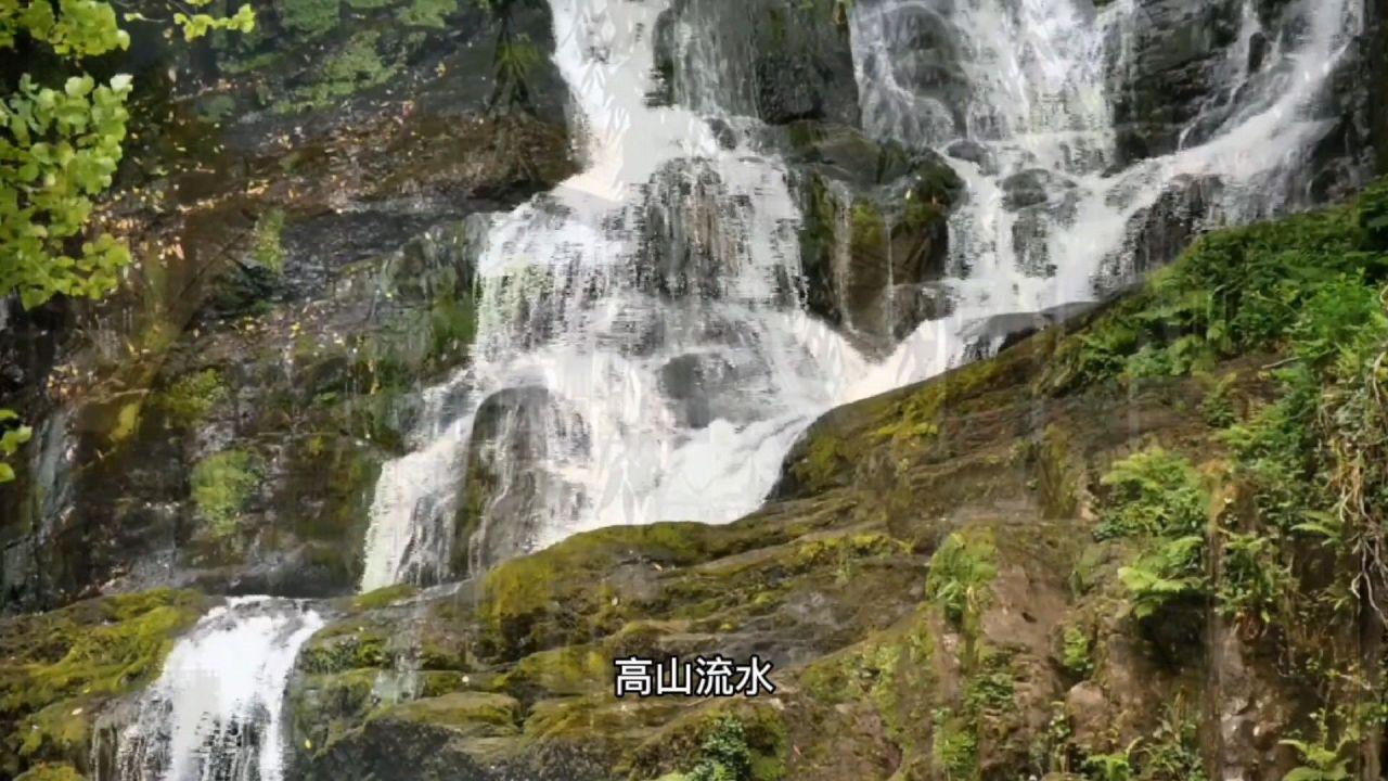 多少深圳人到了快过年才发现,已经一年没见过现金了?