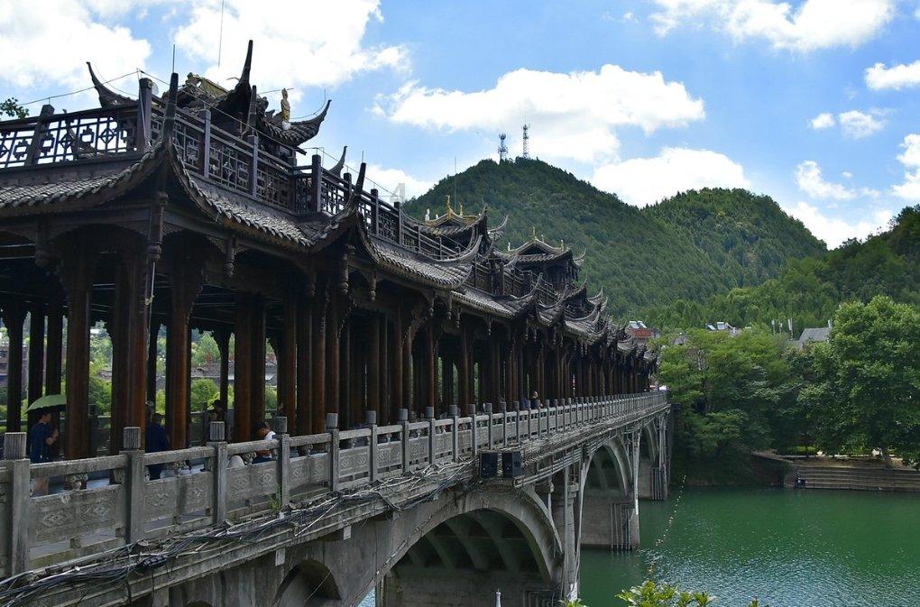 勿忘我