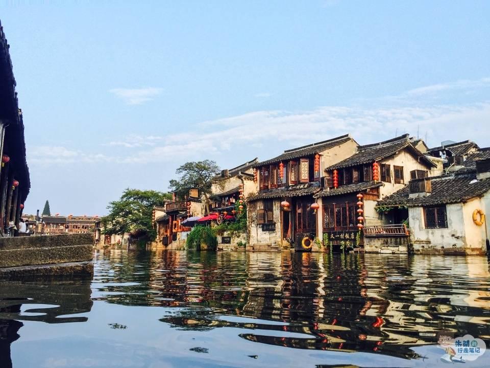 可爱小猫向上跳