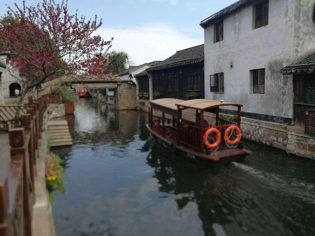 逃离大犀牛出没地