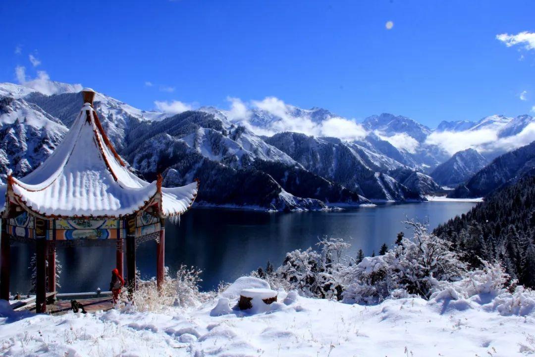 大学生如何对待谈恋爱的问题？游戏画面